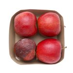 BadApple2